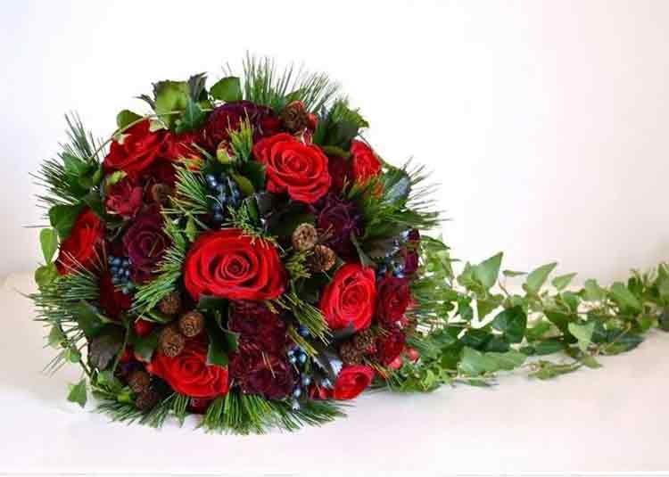 クリムゾンパッション画像