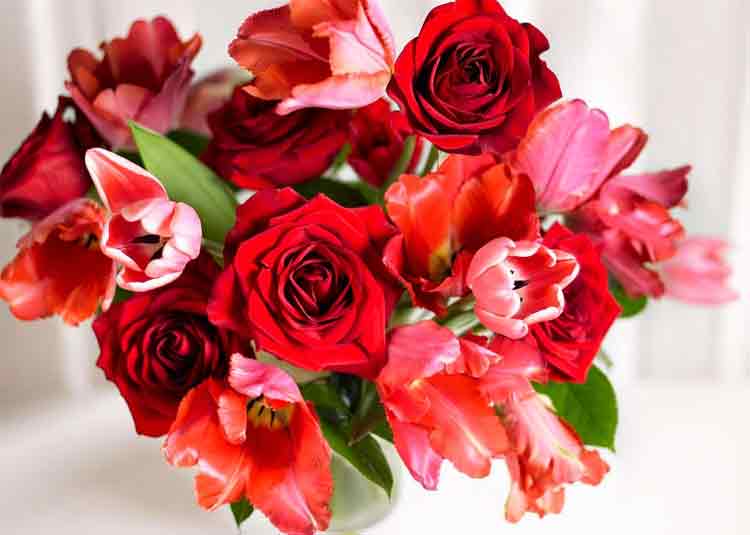 ルービーローズ画像