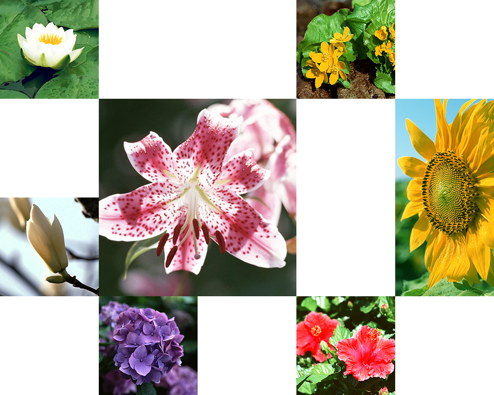 キービジュアル画像